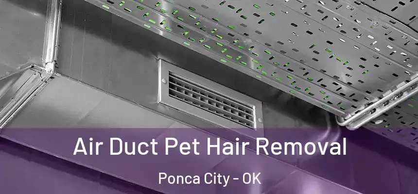 Air Duct Pet Hair Removal Ponca City - OK