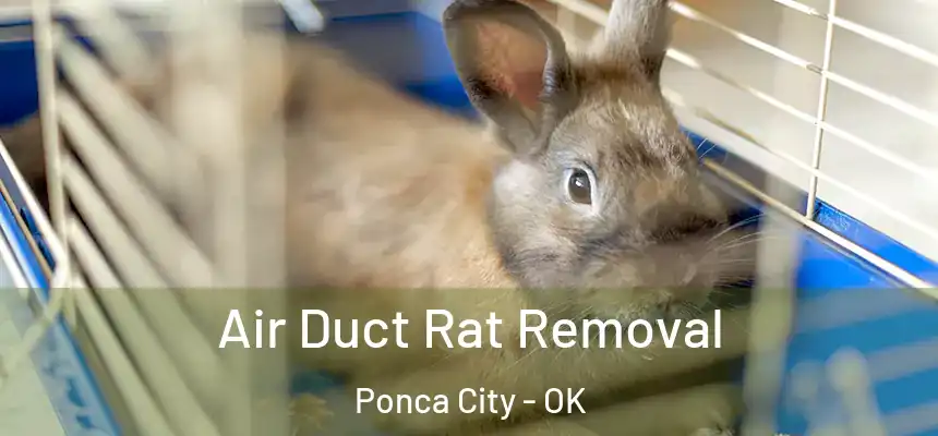  Air Duct Rat Removal Ponca City - OK