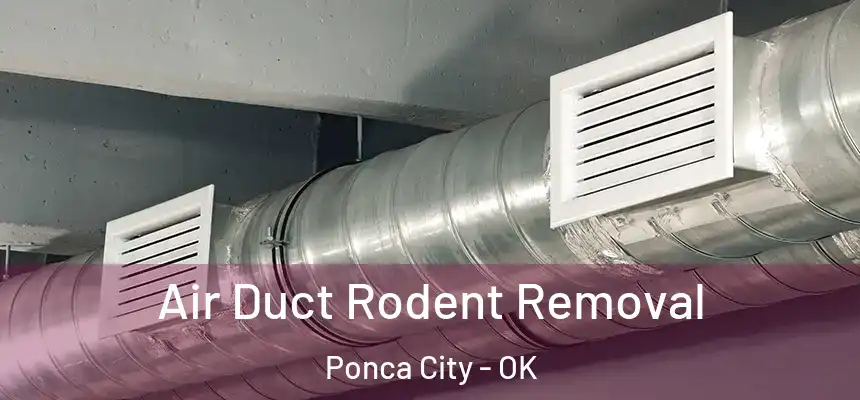 Air Duct Rodent Removal Ponca City - OK