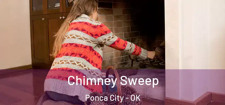  Chimney Sweep Ponca City - OK