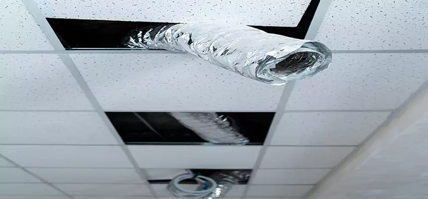 Affordable HVAC Sanitizing After Pest Removal in Ponca City