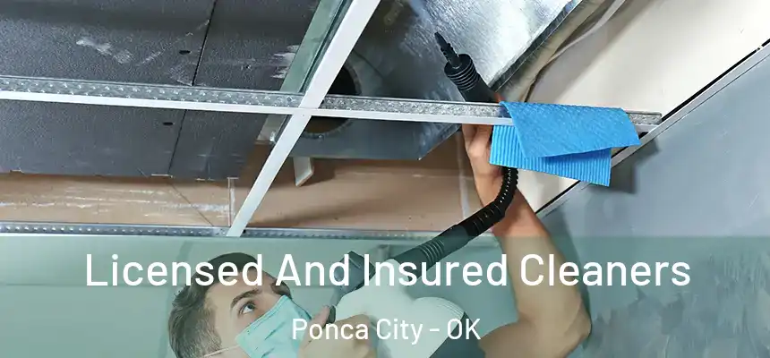 Licensed And Insured Cleaners Ponca City - OK