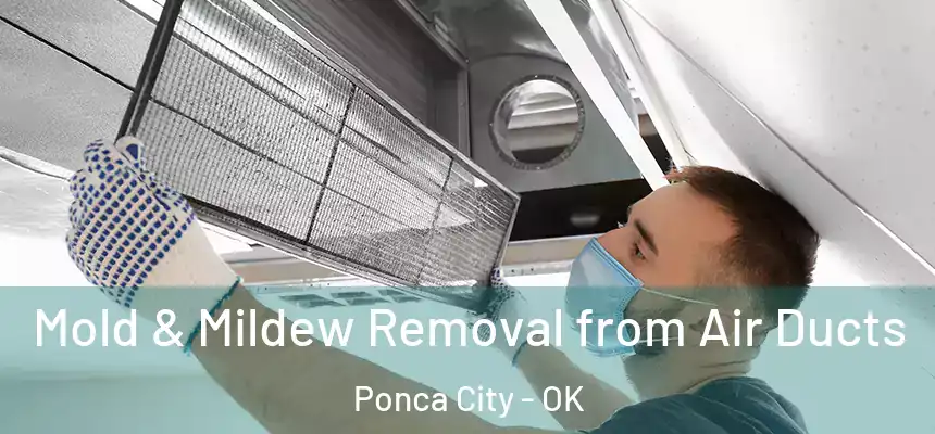 Mold & Mildew Removal from Air Ducts Ponca City - OK