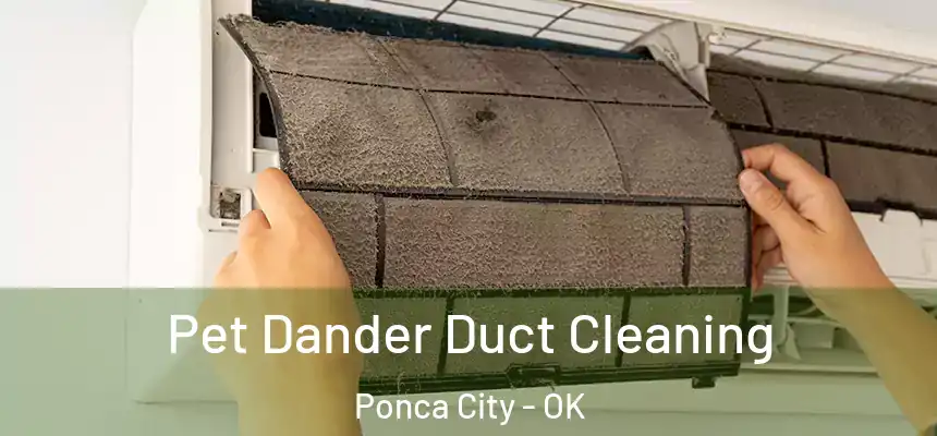 Pet Dander Duct Cleaning Ponca City - OK
