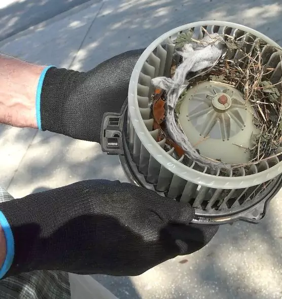 About Air Duct Rat Removal in Ponca City, OK